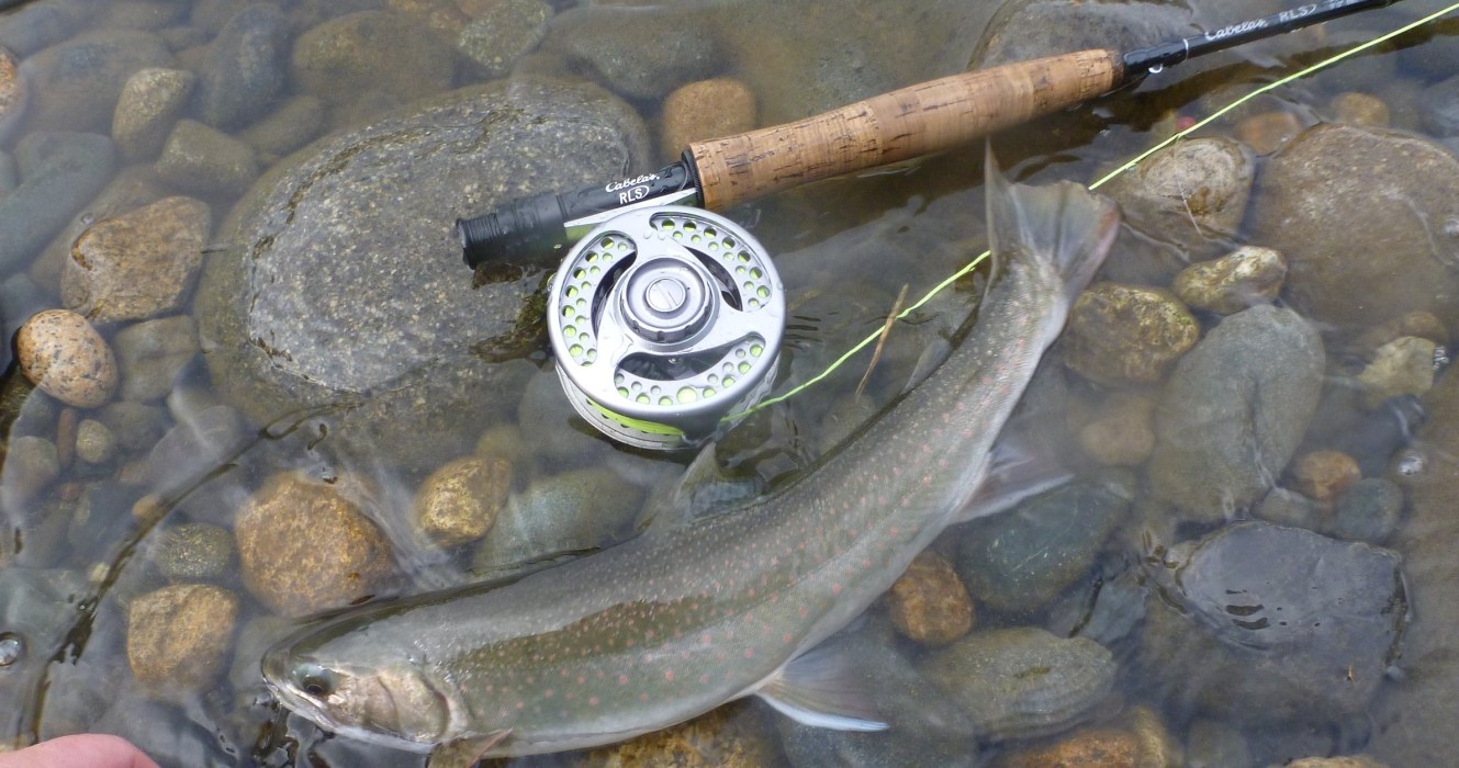 Fly Fishing Charters in Talkeetna, AK | Phantom Tri-River Charters