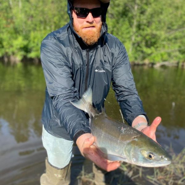 a man holding a fish in the water