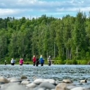a flock of seagulls standing next to a body of water